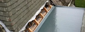 Roof Coating Services